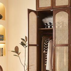 an open wooden cabinet with clothes hanging on the door and two plants in front of it