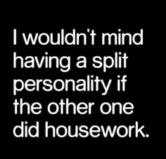 the words i wouldn't mind having a split personality if the other one did housework