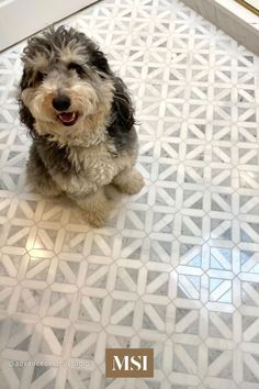 a dog sitting on the floor in front of a door