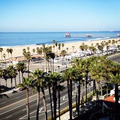 the beach is lined with palm trees and parked cars