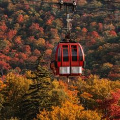 a red cable car going over trees with fall foliage in the backgrouds