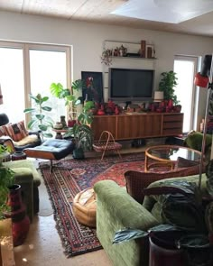 a living room filled with lots of furniture and plants on top of it's rug