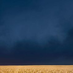 the sky is dark and cloudy over a wheat field