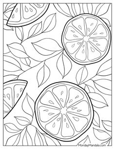 a fruit coloring page with oranges and leaves