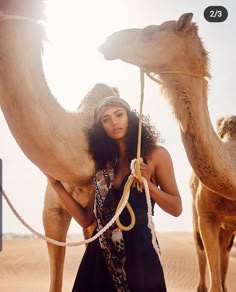 a woman is standing in the desert with two camels