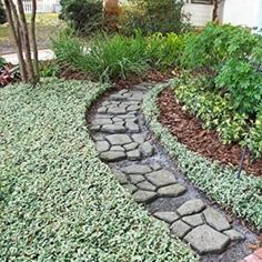 a stone path in the middle of some grass and plants next to a white house