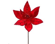 a red flower with some water droplets on it