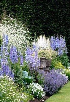 Landscaping Colorado, Colorado Landscaping, Funny Vine, Cottage Garden Design, Landscape Construction, English Gardens, Garden Types, Have Inspiration, Cottage Gardens