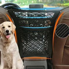 a dog sitting in the back seat of a car