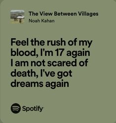 Concert Captions For Instagram Noah Kahan, Stick Season Lyrics Aesthetic, Stick Season Noah Kahan Lyrics, Noah Kahan Concert Makeup, Noah Kahan Spotify Cover, Noah Kahan The View Between Villages, Homesick Noah Kahan Lyrics, Come Over Noah Kahan, The View Between Villages Noah Kahan Tattoo