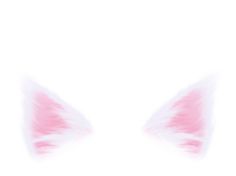 a cat's face with pink and white fur on it, in the shape of a triangle