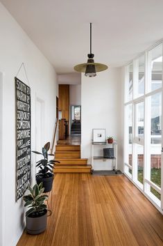 an empty room with wooden floors and large windows on either side of the wall, there is a plant in a black pot