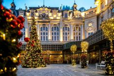 christmas trees are lit up in front of a large building