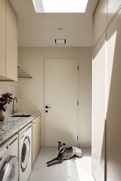 a dog laying on the floor in a kitchen next to a washer and dryer