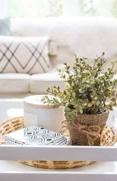 a white tray topped with a potted plant