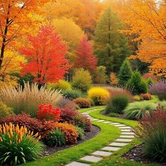 a garden filled with lots of colorful trees