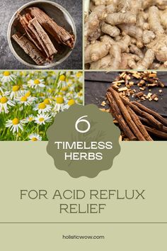 Herbs for acid reflux relief like chamomile and marshmallow root can help ease discomfort. Learn how to use them safely in teas and remedies! Acid Reflux Relief, Reflux Symptoms, Slippery Elm, Marshmallow Root, Stomach Acid, Licorice Root, Healing Herbs, Acid Reflux, Brewing Tea