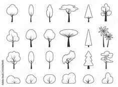 various trees and shrubs drawn by hand