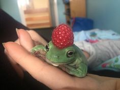 a small frog with a strawberry on it's head sitting in someones hand