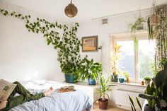 a person laying on top of a bed next to a plant