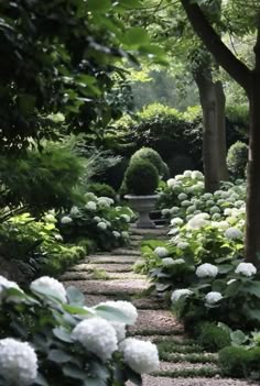 a garden with white flowers and trees in the background, along with stone walkways