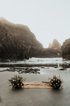 two flowers are placed on the beach near some rocks