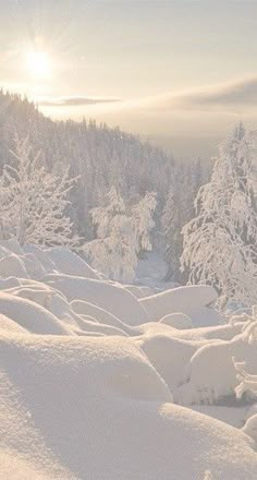 the sun shines brightly on snow covered trees