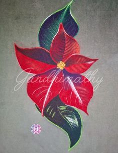 a drawing of a poinsettia flower with green leaves and red petals on a gray background