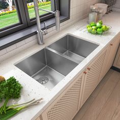 an image of a kitchen setting with stainless steel sink and countertop spacer area