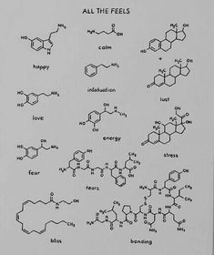 an image of the chemical formulas for all the feels