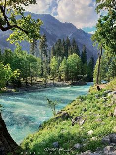 a river running through a lush green forest filled with lots of grass and trees on the side of a mountain