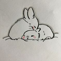 a drawing of a rabbit and its baby laying on top of it's back