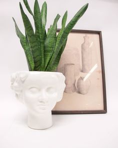 a plant in a white vase next to a framed photograph