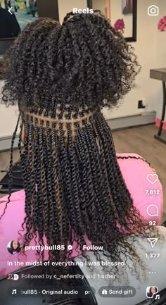 Relaxed Hair Locs, Braids Passion Twist, Hairstyle 2025, Braid Styling, Mini Twists Natural Hair, Twists Natural Hair, Cornrows With Box Braids, Twist Cornrows