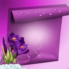 a purple background with some flowers in the center and an empty paper bag behind it