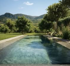 an empty swimming pool in the middle of a lush green field with mountains in the background