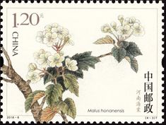 a stamp with flowers on it and chinese writing in the middle, which reads'120 china '