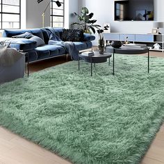 a living room filled with furniture and a green rug