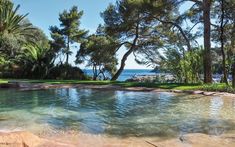 an outdoor swimming pool surrounded by trees near the water's edge and ocean in the background