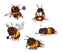 four different stages of a honeybee