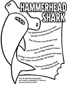 the hammerhead shark poem coloring page