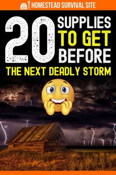 Get ahead of the next storm and all of the chaos it brings by gathering crucial emergency supplies before it's too late. Here's what to get. Homestead Lifestyle, Survival Preparedness, Emergency Supplies, Homestead Survival, Hobby Farms, Survival Tips