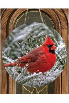 a red cardinal sitting on top of a snow covered branch in front of a door