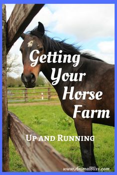 a horse standing next to a wooden fence with the words getting your horse farm up and running