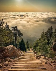 the stairway to heaven is surrounded by clouds and pine trees