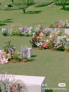 an image of a flower garden in the middle of it's own lawn area