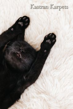 a black cat laying on its back with it's paws stretched out and eyes closed