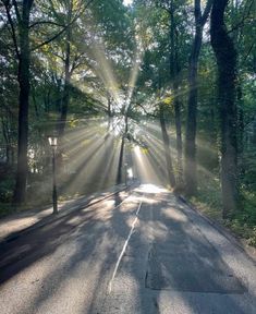 the sun shines brightly through the trees on an empty road