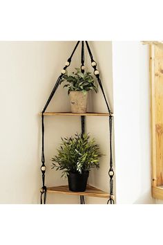 three tiered shelf with plants on it in front of a wall mounted potted plant