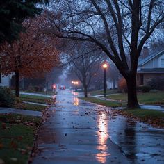 a wet sidewalk with trees and street lights in the background